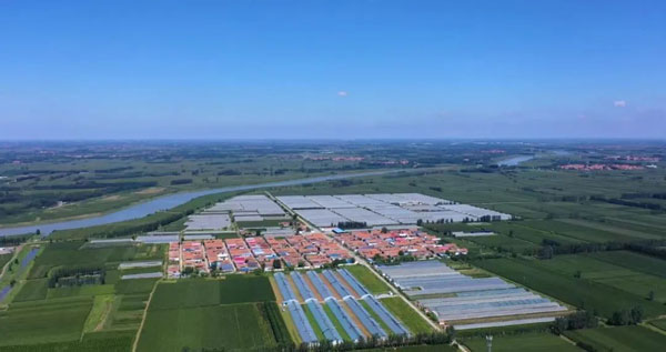 xixinzhuang1.jpg