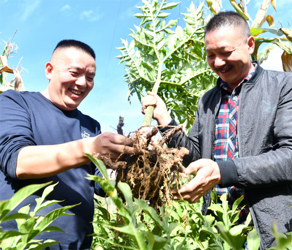 jianshi1.jpg jianshi1.jpg