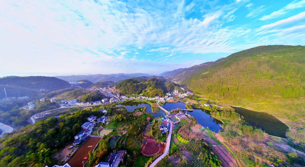 lianhua1.jpg
