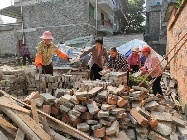 yangmei4.jpg