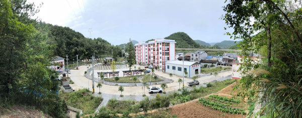 dadianzi1.jpg