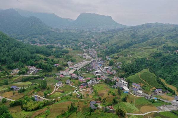 liqiao4.jpg liqiao4.jpg