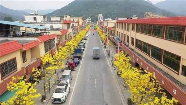 sihui7.jpg
