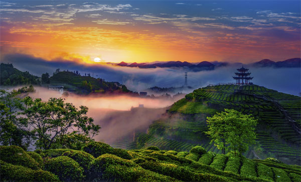 gongcha3.jpg
