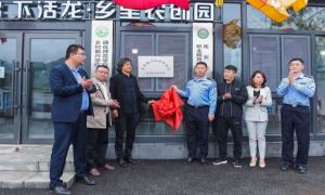 让下活龙“活”起来