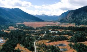 南伊沟里传来了党的声音