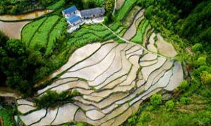 牛洞坪村盘活一方山水 留住“春风十里”