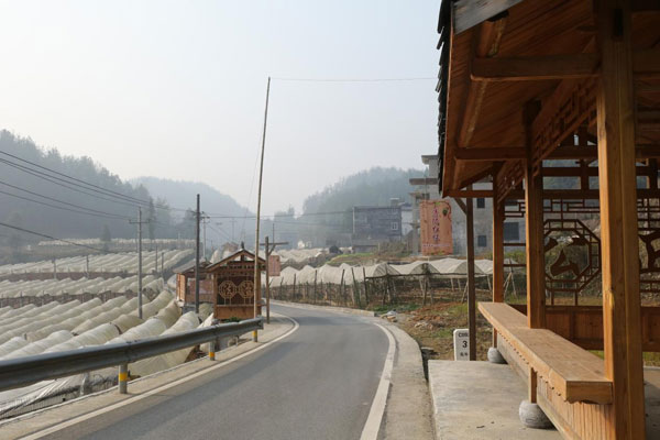 yezhou3.jpg