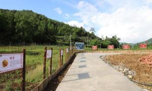 板桥镇：用心用情，共同缔造美丽乡村