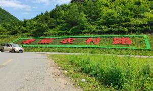 吉林长白马鹿沟镇：“四好农村路”铺就乡村振兴路