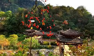 旧铺康家大院：土苗山寨赓续蝶变 共同缔造谱写新篇