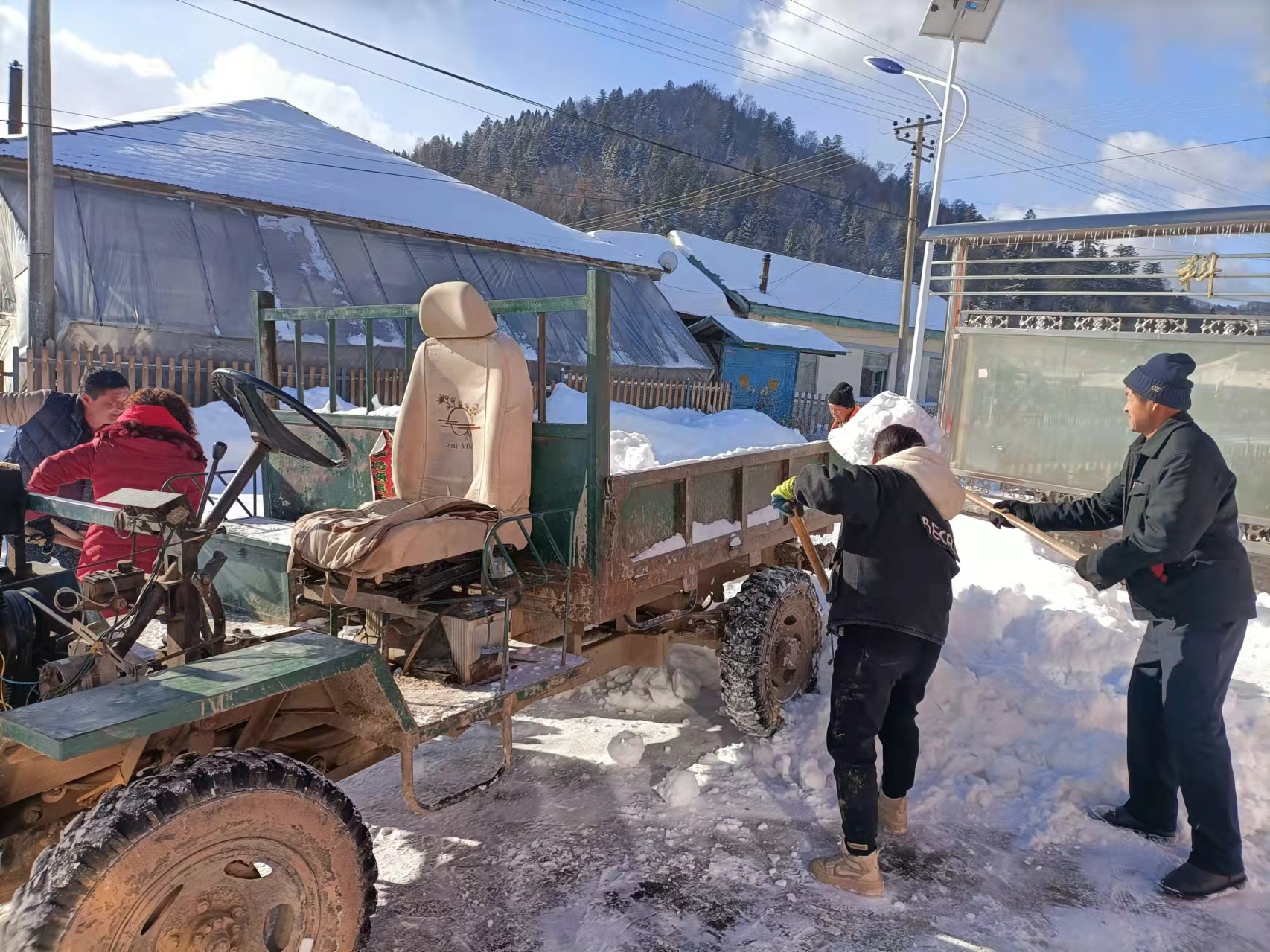 清理积雪及越冬垃圾 (2).jpg