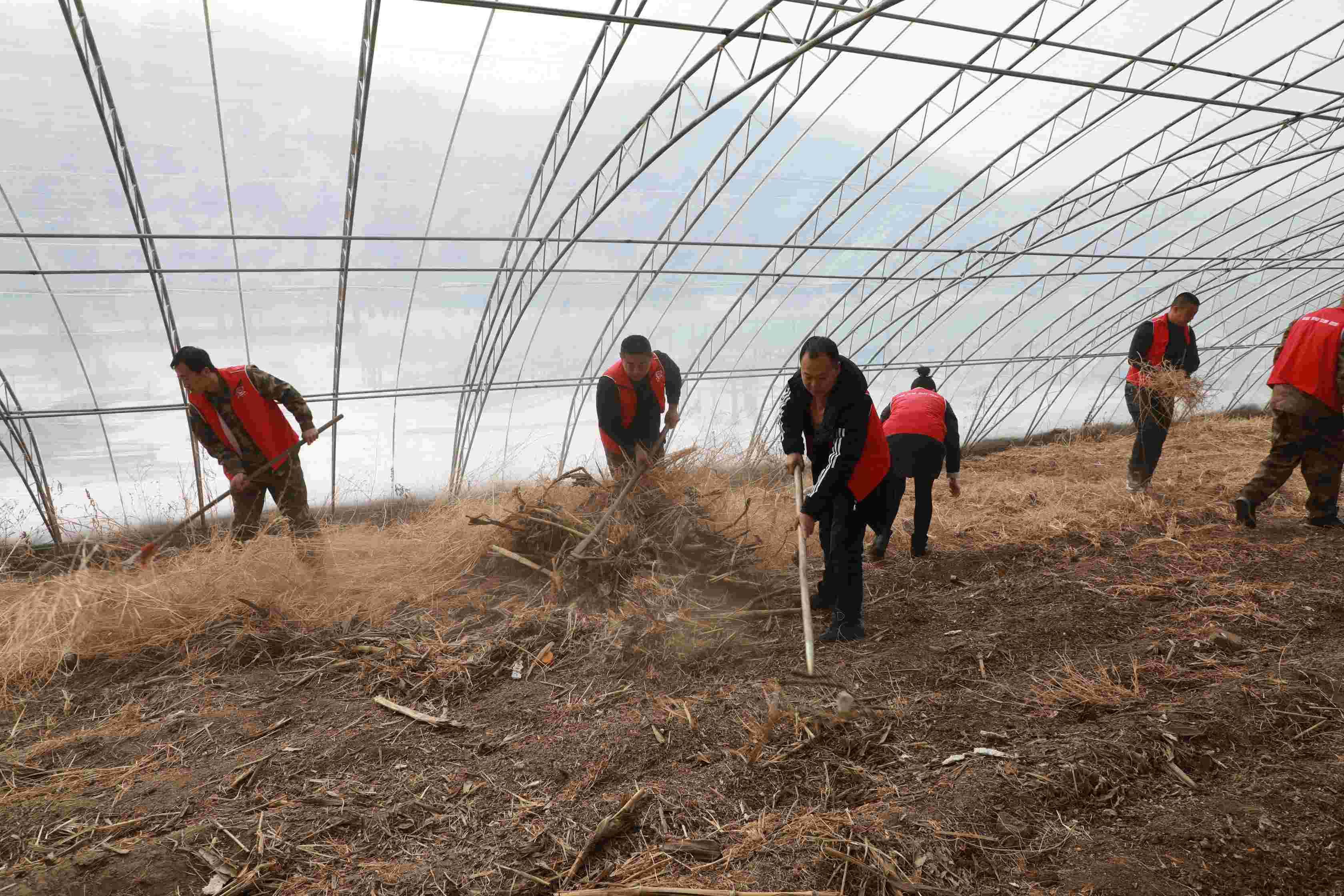 抚松镇大棚种果蔬，共奔致富路(1).jpg