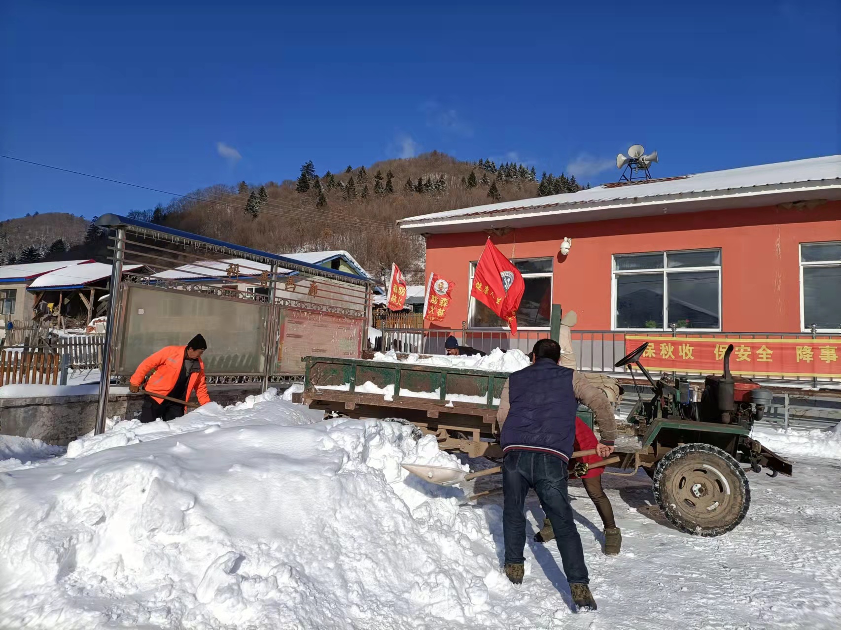 清理积雪及越冬垃圾.jpg