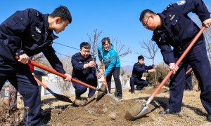 警民携手植树 助力乡村建设