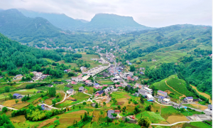 湖北省鹤峰县走马镇李桥村：“三联三促”赋能基层治理