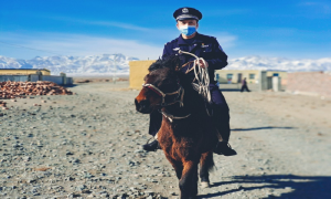 “马背宣传护卫队”全力护航牧民转场