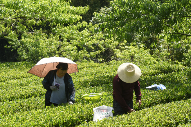 截图20220520094648.png 截图20220520094648.png