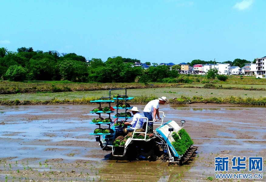 1128653042_16526621523761n.jpg 1128653042_16526621523761n.jpg