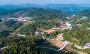 一个少数民族村庄的振兴之路