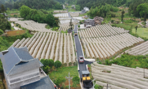 “一村一品一景”助推乡村振兴