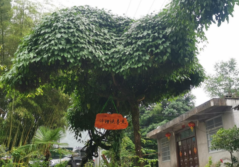 截图20220607114113.png
