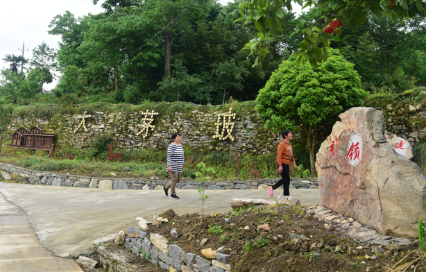 大茅坡组打造的微景观。（通讯员 赵盛迷 摄）.png