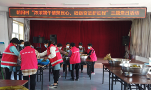 吉林抚松万良镇端午主题党日志愿服务活动