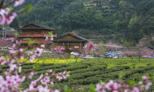 二官寨：原味古村落 现实桃花源