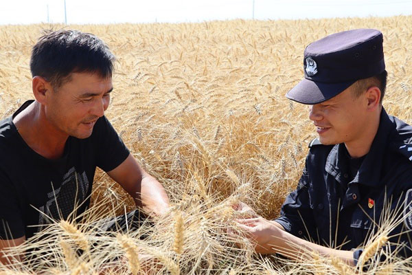 weiren1-1.jpg weiren1-1.jpg