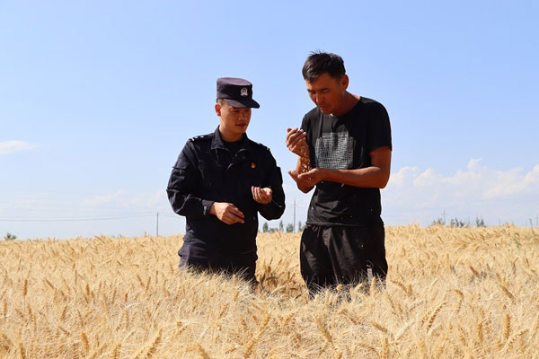 weiren-1.jpg weiren-1.jpg