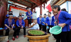 日照出入境边防检查站对口帮扶绿茶产品获第十一届“中绿杯”产品质量金奖