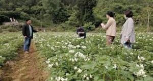 司马子荣：村民的贴心人