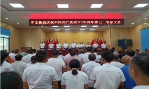衡阳县库宗桥镇举行庆祝中国共产党成立101周年暨“七一”表彰大会