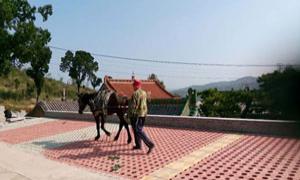 瓦岭村：古韵与今梦并蒂  脱贫村活色生香走红