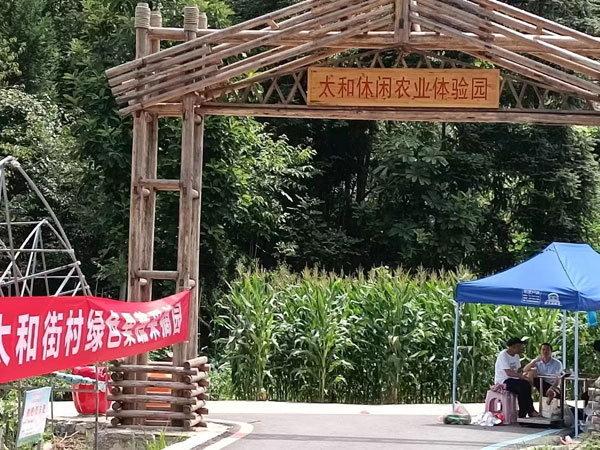 太和街-1.jpg
