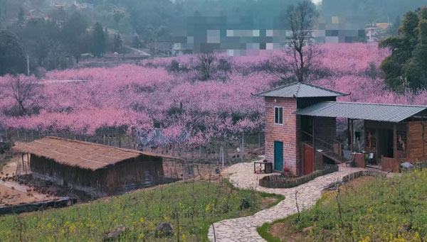 jianshi1-1.jpg