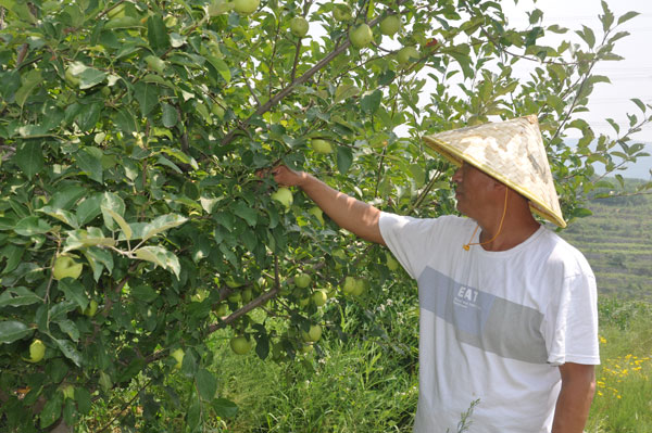 qiaotoucun-1.jpg