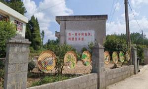  环境美、村民富、乡风兴——乡村蝶变入画来