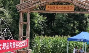 太和街村：农旅融合产业旺 主客共享生活美