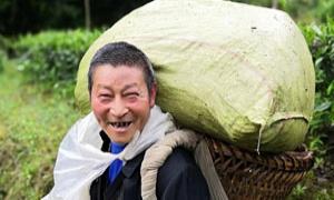 龙凤镇试点兑现村集体经济纯经营性收益奖励