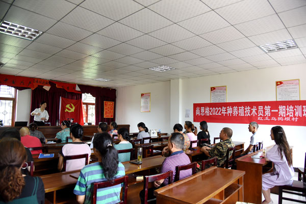 dangjian3.jpg