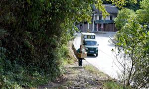 大山里的“跑跑”兄弟