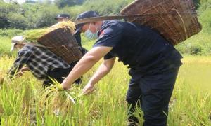 西藏林芝移民管理警察助力辖区群众秋收