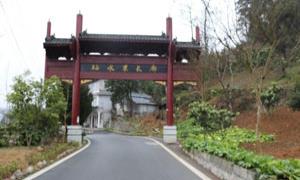 罗家坝村：让美丽乡村带动“美丽经济”