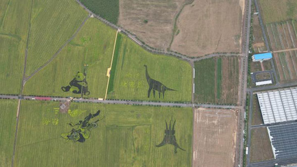 dongbao3.jpg dongbao3.jpg