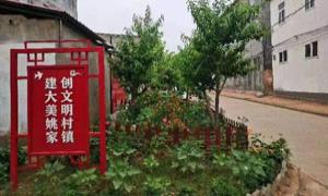 中牟县姚家镇：“内外兼修” 打造美丽乡村