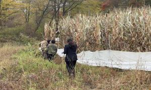 践行“马锡五审判” 田间地头解“牛祸”