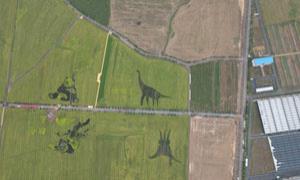 东保村共同致富的“数字密码”