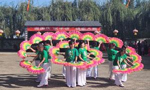 新开河镇：敲锣打鼓扭起来 载歌载舞庆丰收